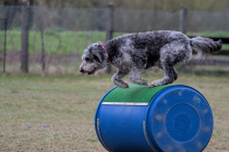 IMG_9704_1800