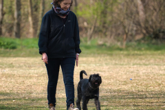 2026 FUNCUP Obedience