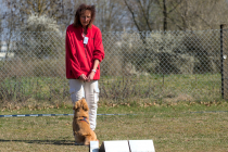 IMG_8621_1800