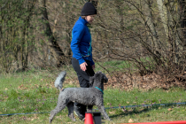 IMG_8627_1800