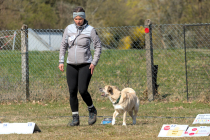 IMG_8770_1800