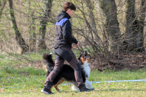 IMG_8809_1800