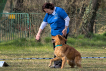 IMG_8877_1800