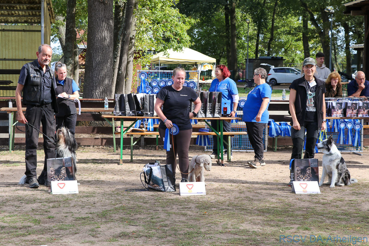 IMG_2478_b