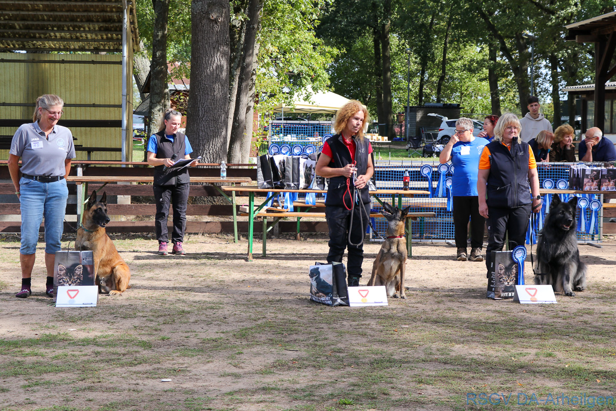 IMG_2489_b