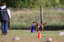 IMG_1751_b