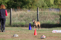 IMG_1777_b