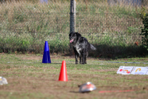 IMG_1792_b