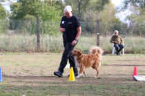 IMG_1869_b