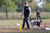 IMG_1885_b