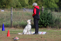 IMG_1944_b