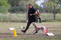 IMG_1947_b