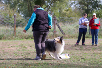 IMG_2052_b