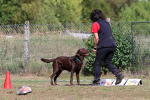IMG_2142_b