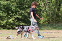 IMG_2267_b