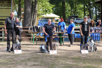 IMG_2478_b