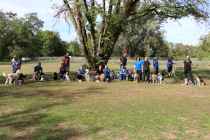 Team-RSGV