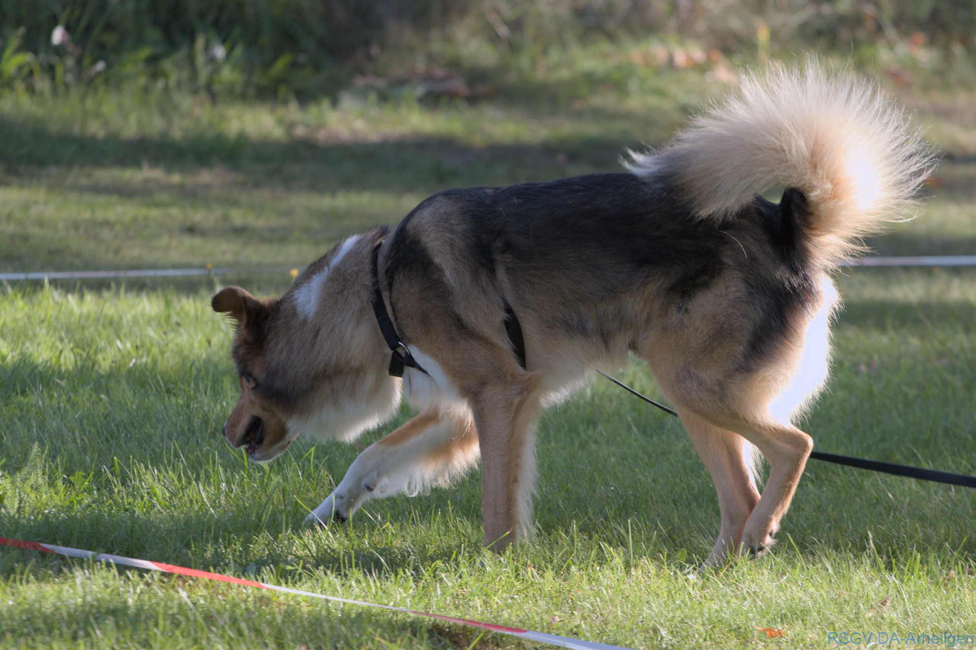 IMG_0877_1920