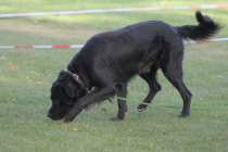 IMG_0788_1920