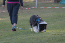 IMG_0797_1920