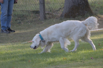 IMG_0813_1920