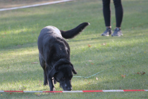 IMG_0831_1920