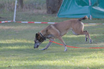 IMG_0854_1920
