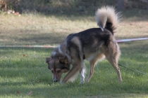 IMG_0875_1920