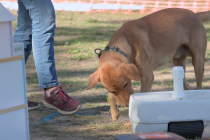 IMG_0888_1920