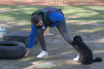 IMG_0913_1920