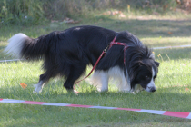 IMG_0925_1920