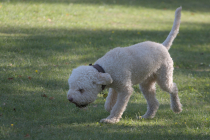 IMG_0950_1920