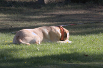 IMG_0972_1920