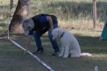 IMG_0979_1920