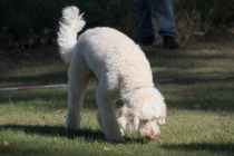 IMG_0982_1920