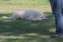 IMG_0992_1920