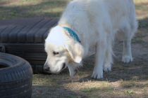 IMG_1017_1920