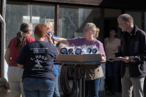 IMG_1234_1920