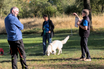 IMG_0392_1920