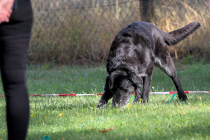 IMG_0438_1920