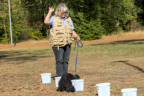 IMG_0488_1920