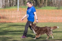 IMG_6162_900