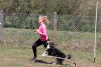 IMG_6385_900