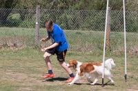 IMG_6553_900