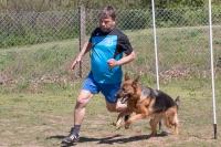 IMG_6668_900