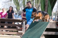 IMG_6805_900