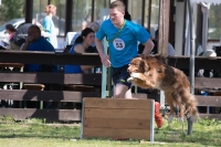 IMG_6986_900