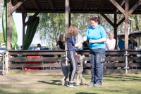 IMG_7334_900