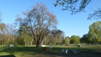 P1220488