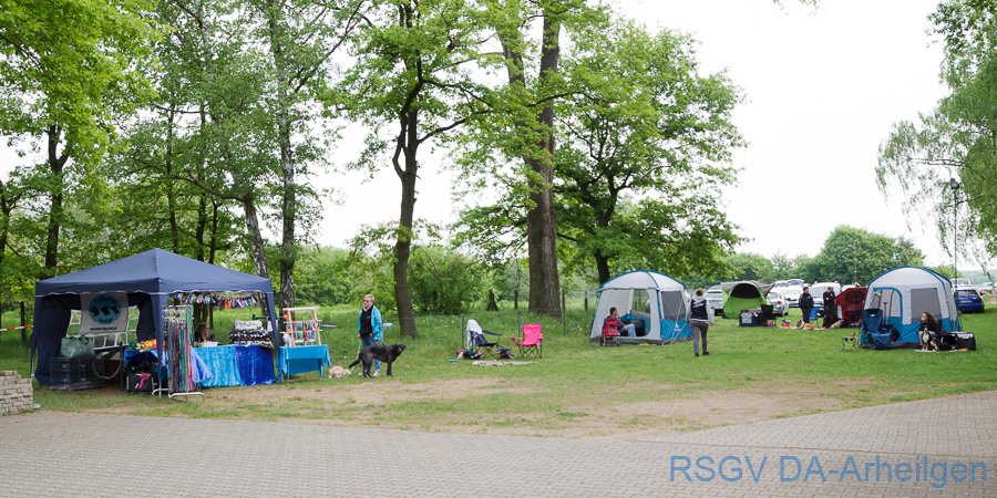 IMG_5465_900